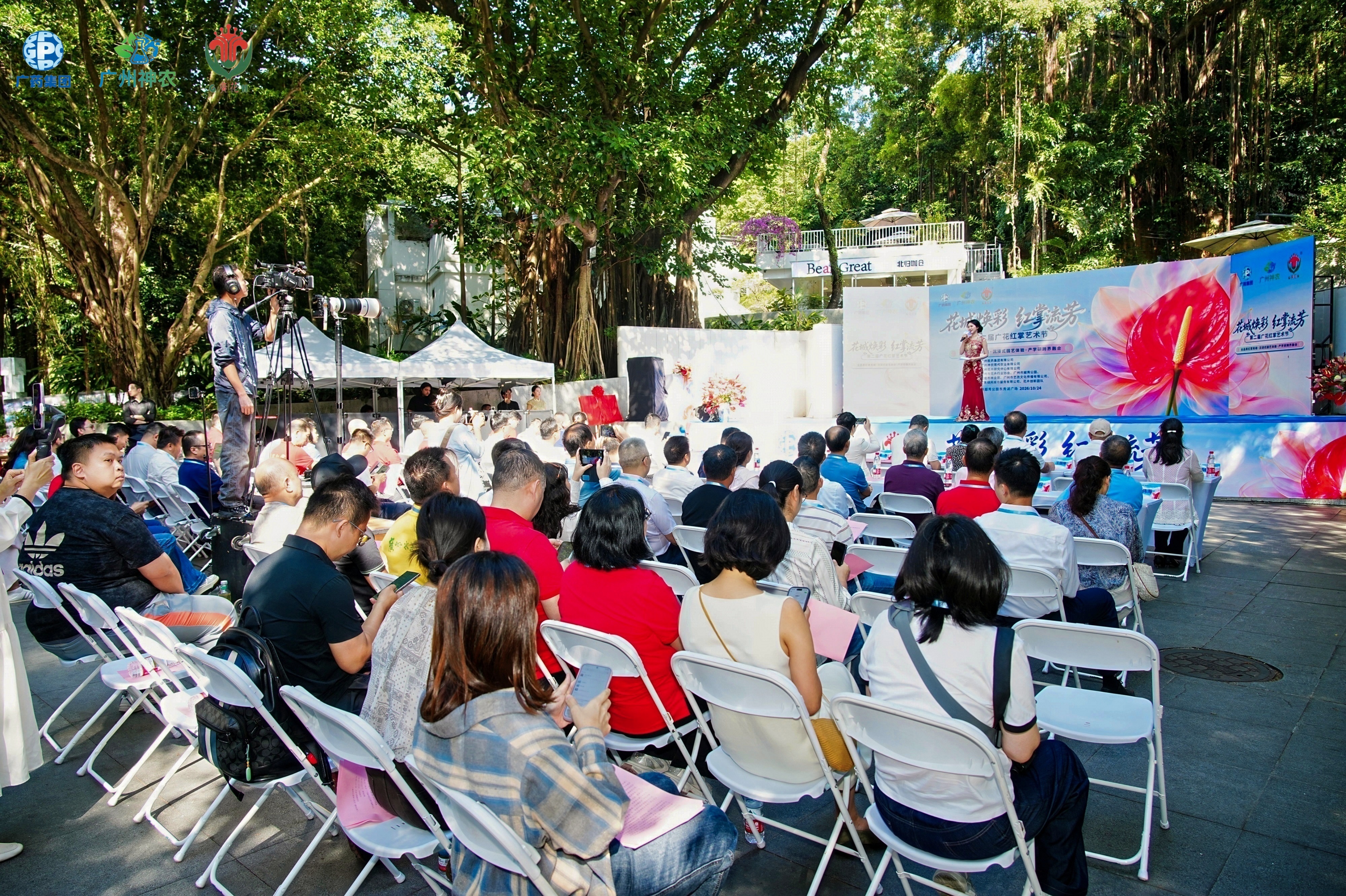 十二款自育红掌新品集中亮相，第二届广