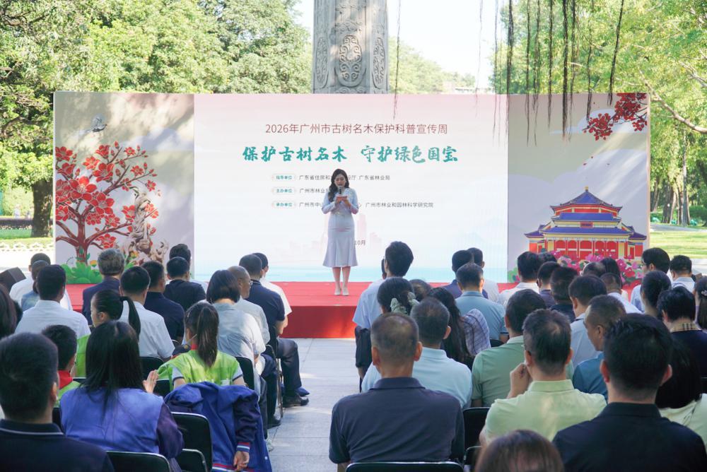古树也有“专属医生” 广州启动古树名木